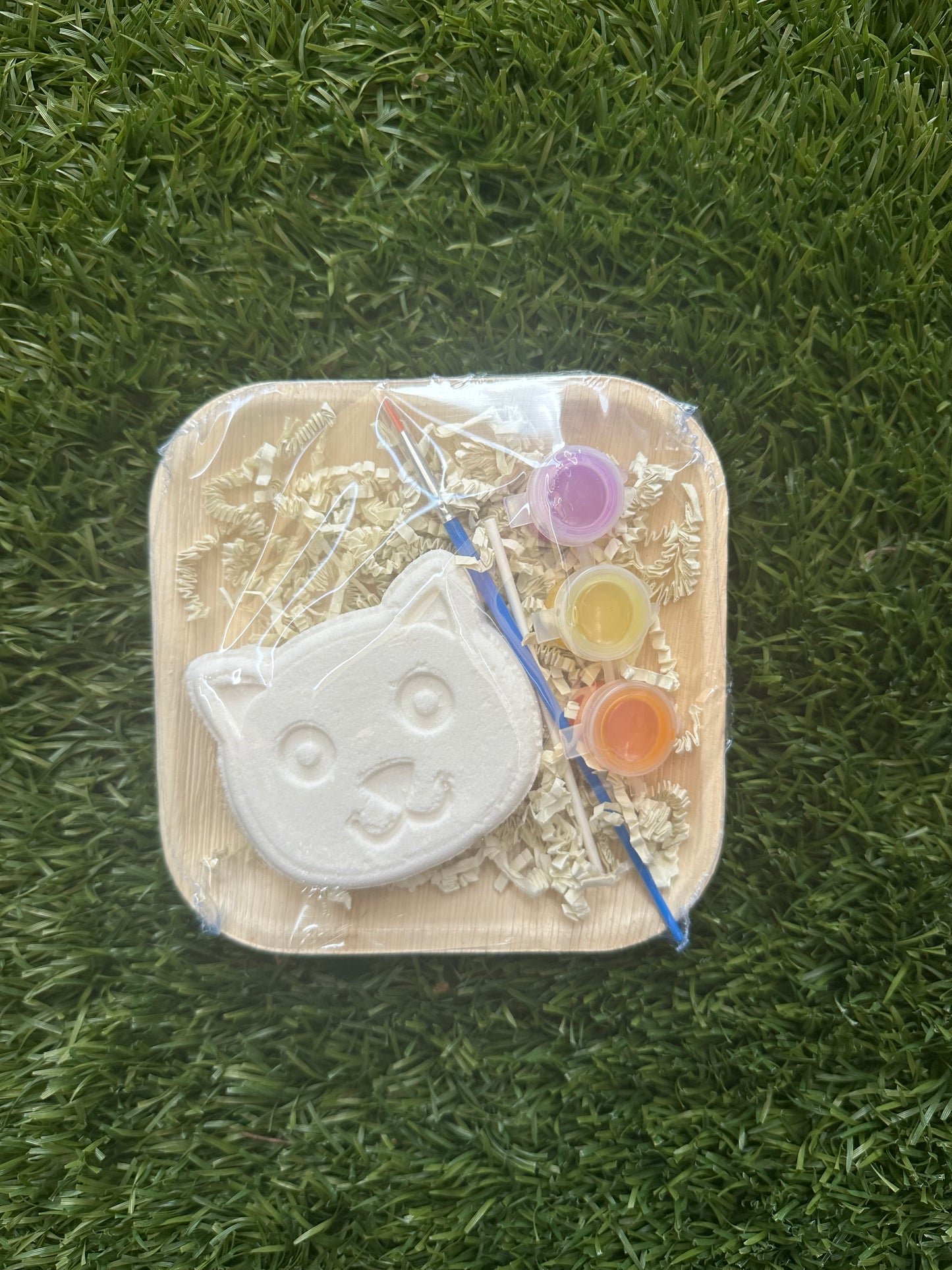 Paint Your Own Bath Bomb- Cat