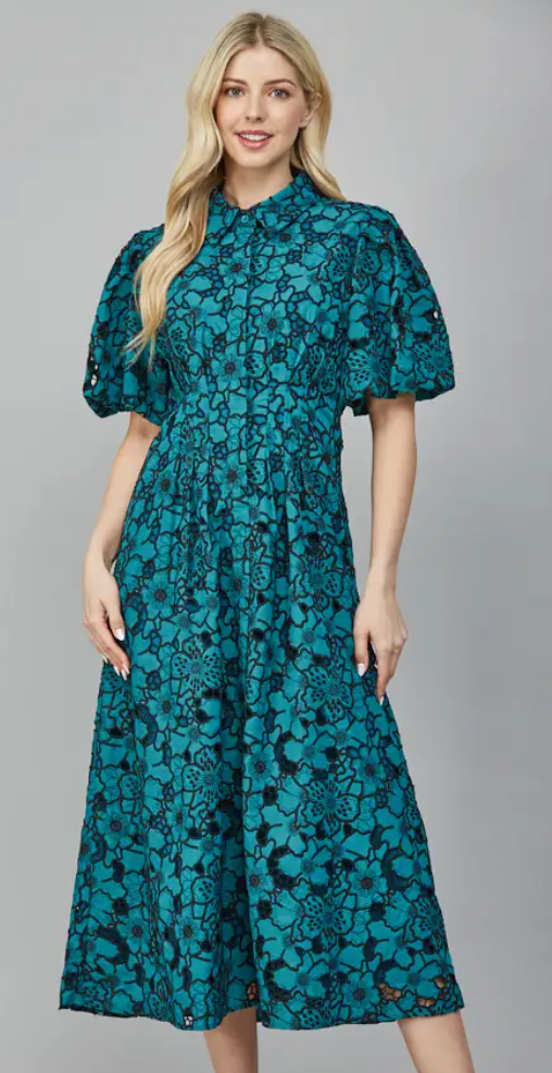 Pleated Waist Half Button Detail Eyelet Lace Dress