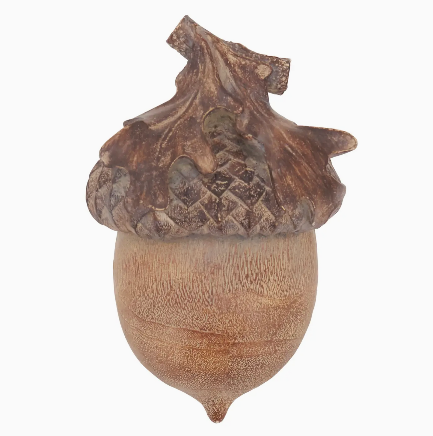 Acorn