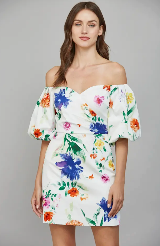 Floral Print Sweetheart Neckline Puff Sleeve Dress