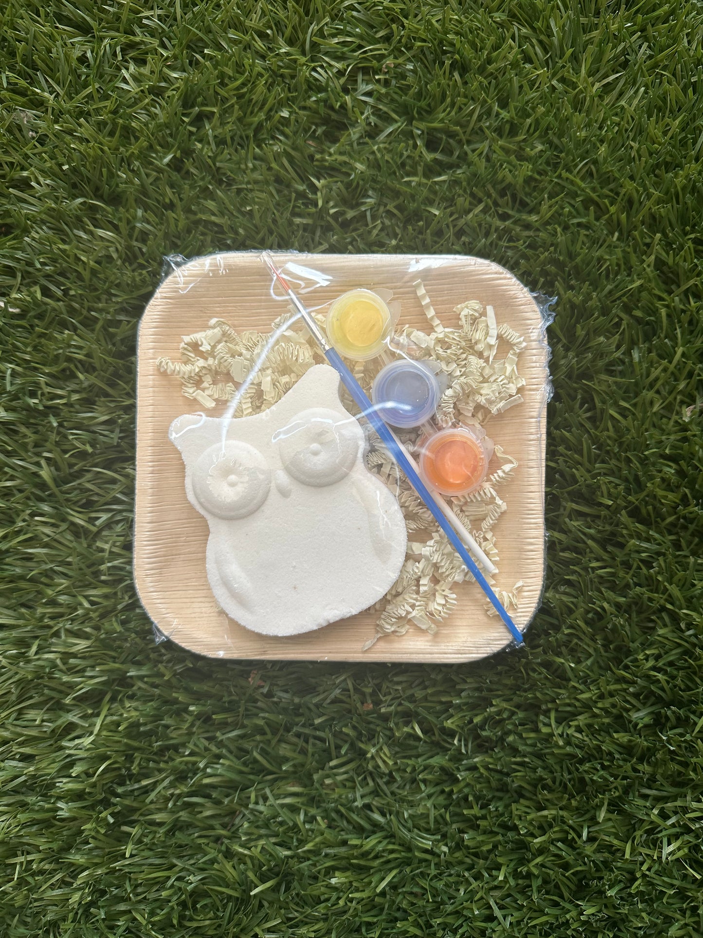Paint Your Own Bath Bomb- Owl