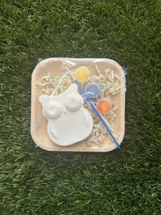 Paint Your Own Bath Bomb- Owl