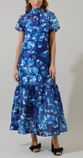 Abay Floral Dime Organza Maxi Dress - Blue/White