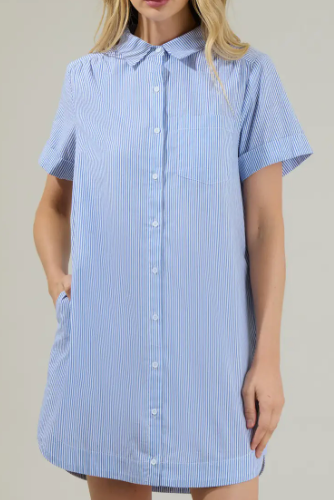 Zira Striped Kaylee Button Down Shirt Dress - Blue White