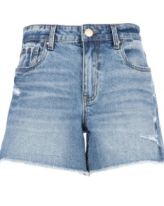 Jane High Rise Short w/ Fray Hem
