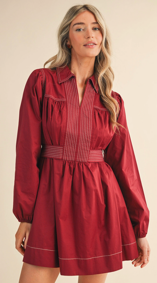 Embroidered Seam Detail Mini Dress