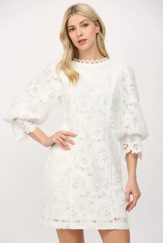 Short Puff Sleeve Crochet Lace Shift Dress