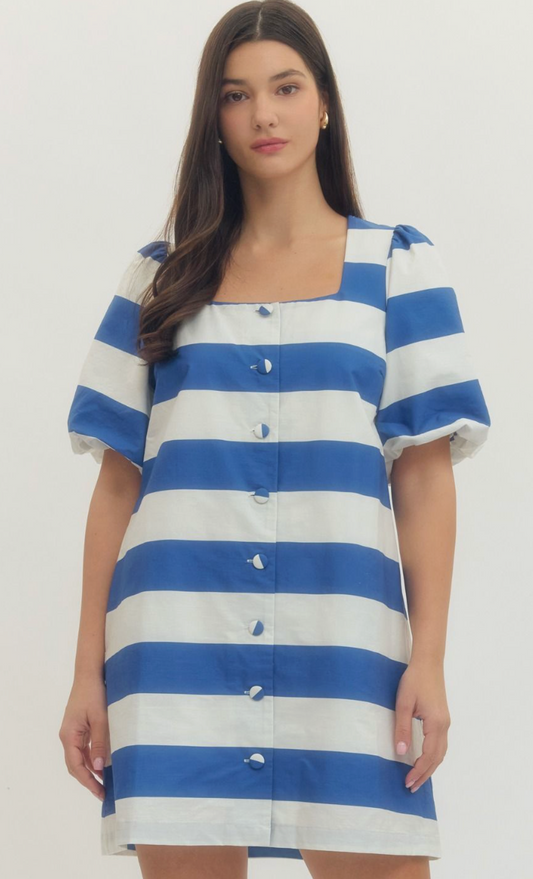 Navy Puff Sleeve Button Down Dress