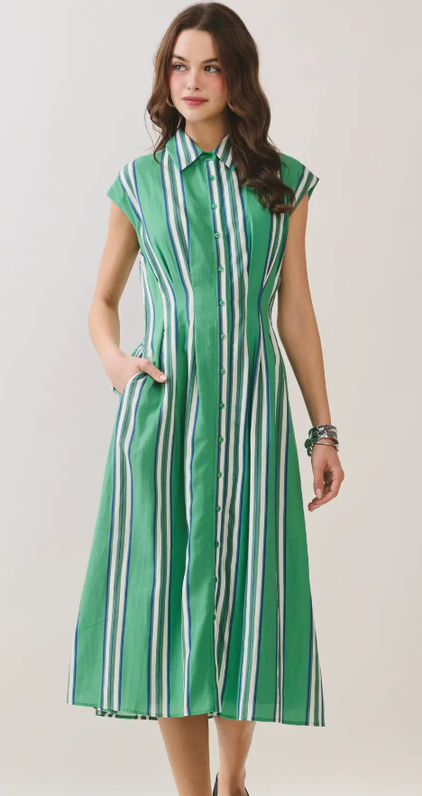 Fitted Bodice Striped Button Down Midi Dress