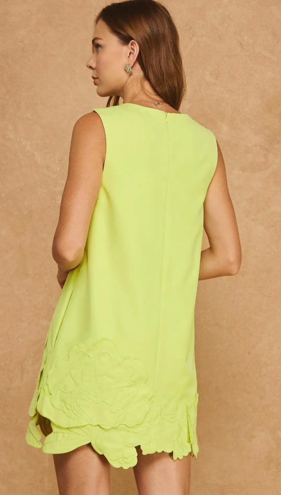 3D Floral Appliqué Sleeveless Shift Mini Dress